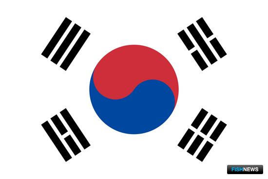 Южная Корея нацелилась на кенийского кальмара