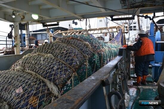 Российские рыбаки уже взяли свыше 500 тыс. тонн
