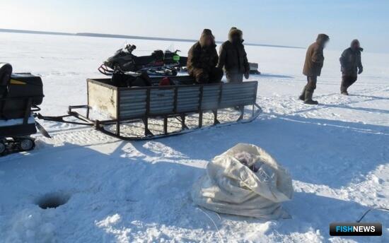 Масштабную рыбалку в Новосибирске прервали полицейские