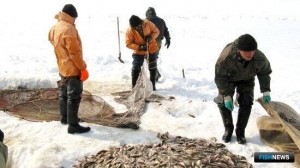 Рыбодобытчики Ямала подвели итоги первого квартала