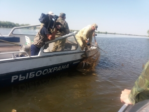 
			Более 4,7 тыс. незаконно установленных орудий лова изъято из водоемов страны во Всероссийский день без сетей 		