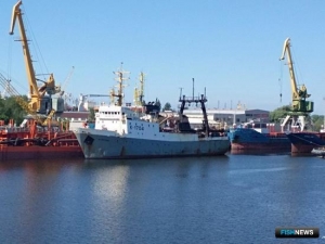 Запасы антарктического криля оценят ученые