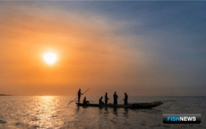 Рыбацкий флот ЕС вернется в воды Гвинеи-Бисау