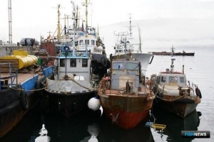 Ветсертификаты для «прибрежки» Колымы поможет оформлять ЭПЖ Ветсертификаты для «прибрежки» Колымы поможет оформлять ЭПЖ