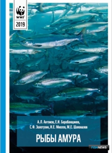 Рыбное «население» Амура внесли в атлас Рыбное «население» Амура внесли в атлас