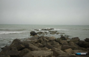 Промысел на Волге и Каспии идет успешно