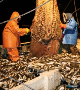 Намечен круг тем для Всероссийской конференции рыбаков