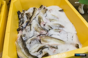 Аукцион на понижение определил обладателей инвестквот Аукцион на понижение определил обладателей инвестквот