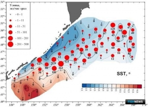 Ученые оценили мощность подходов горбуши Ученые оценили мощность подходов горбуши