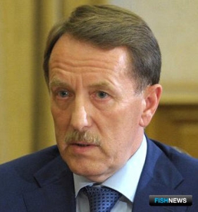 В России хотят создать отрасль экологически чистых продуктов В России хотят создать отрасль экологически чистых продуктов