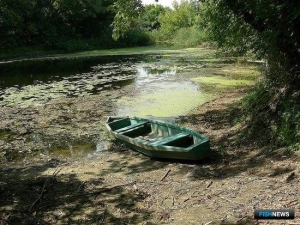 Водохранилища Саратовской области хотят задействовать в рыбоводстве Водохранилища Саратовской области хотят задействовать в рыбоводстве