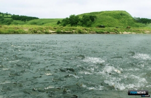 СвУБ кунгасу не положено СвУБ кунгасу не положено
