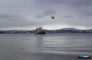 Новые правила рыболовства оценивают в регионах Новые правила рыболовства оценивают в регионах