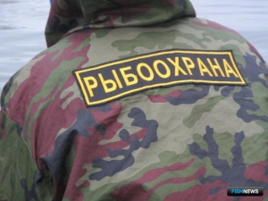 Браконьерскую переработку нашли на Камчатке Браконьерскую переработку нашли на Камчатке