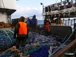 Российские уловы подсчитали