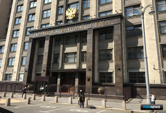 Требованиям готовят отдельный закон Требованиям готовят отдельный закон