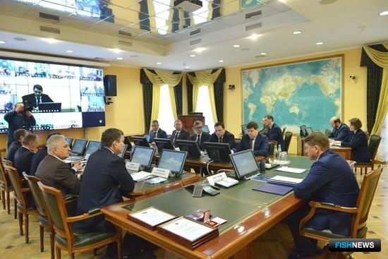 Краба Карского моря включат в ОДУ Краба Карского моря включат в ОДУ