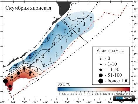 Иваси и скумбрия уже дразнят рыбаков