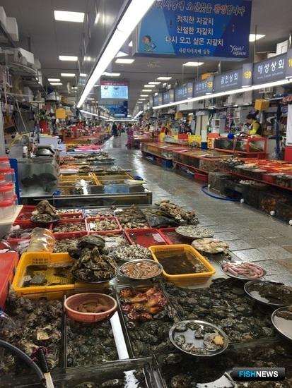 Южная Корея анонсировала «рыбную пятилетку» Южная Корея анонсировала «рыбную пятилетку»