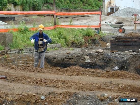 Строителям приготовили новую методику по возмещению вреда рыбе