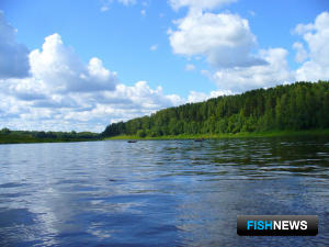 Волге улучшат водообмен