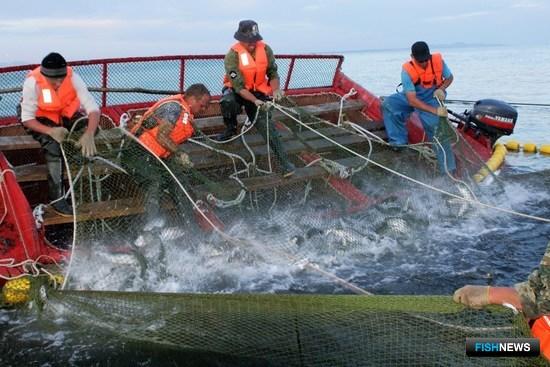 Координационный совет просит не делать рыбаков нарушителями Координационный совет просит не делать рыбаков нарушителями