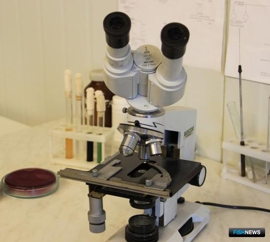 Над расширением возможностей ветсанэкспертизы обещали подумать