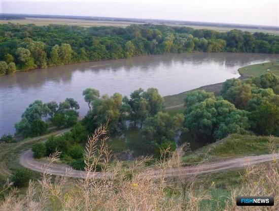 Зимовальную яму Кубани защитили заказником