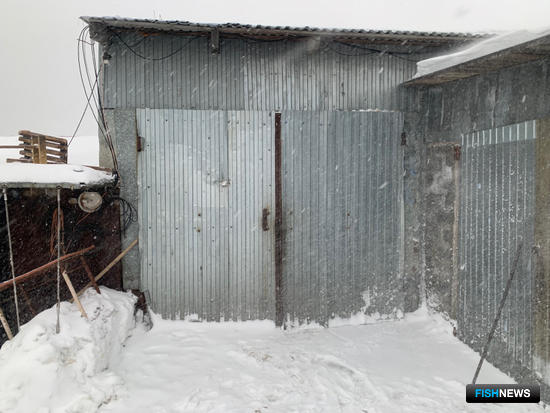 Сахалинца обвиняют в перепродаже браконьерского краба