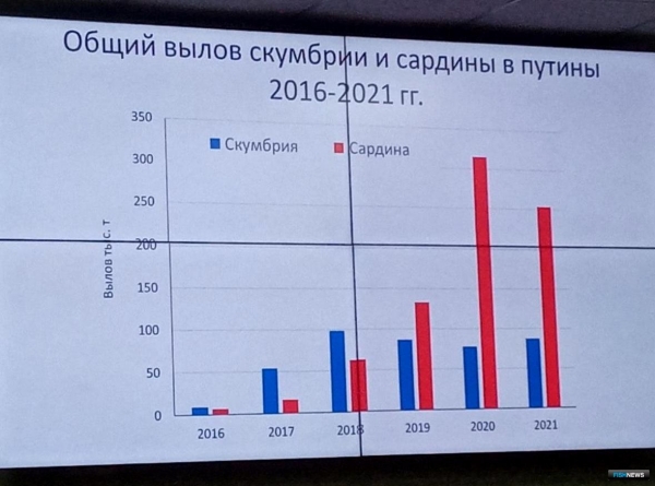 Скумбрии и сардине не хватает добытчиков