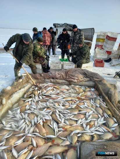 Зауралье начало год с хорошими уловами