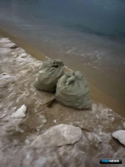 Браконьерский краб не ушел от пограничников Браконьерский краб не ушел от пограничников