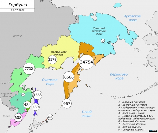Дальний Восток прибавил в уловах горбуши