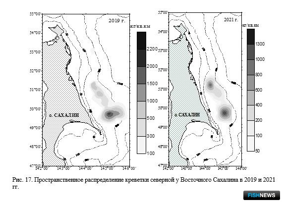 Наука рассказала о рыбных запасах Восточно-Сахалинской подзоны