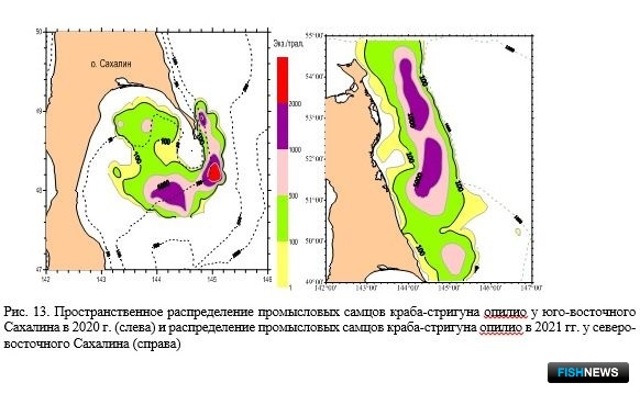 Наука рассказала о рыбных запасах Восточно-Сахалинской подзоны