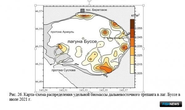 Наука рассказала о рыбных запасах Восточно-Сахалинской подзоны