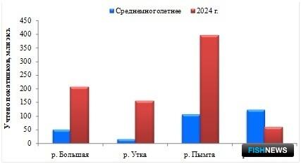 На западе Камчатского края скатилось много горбушовой молоди