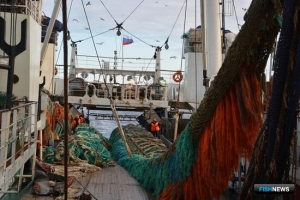 Рыбакам Дальнего Востока составили новый промысловый прогноз