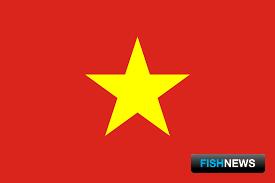 Все больше краба из Вьетнама поступает на зарубежные рынки Все больше краба из Вьетнама поступает на зарубежные рынки