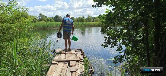 Рыбные запасы Верхнего Дона хотят нарастить выпусками