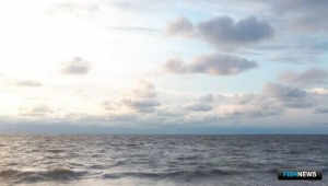 В Азовском море завершился заморный период В Азовском море завершился заморный период