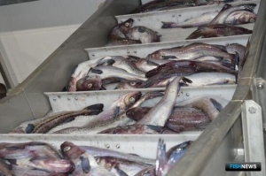 Для оценки работы судов и заводов под инвестквоты приготовили изменения Для оценки работы судов и заводов под инвестквоты приготовили изменения