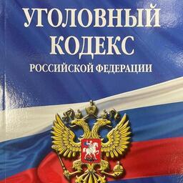 Сахалинец ответит в суде за лососевое браконьерство