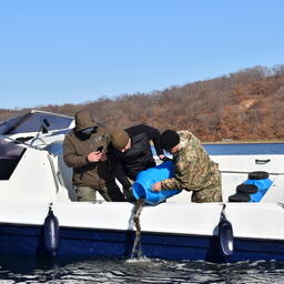 Трепанговую «посевную» в Приморье ускорили в преддверии зимы